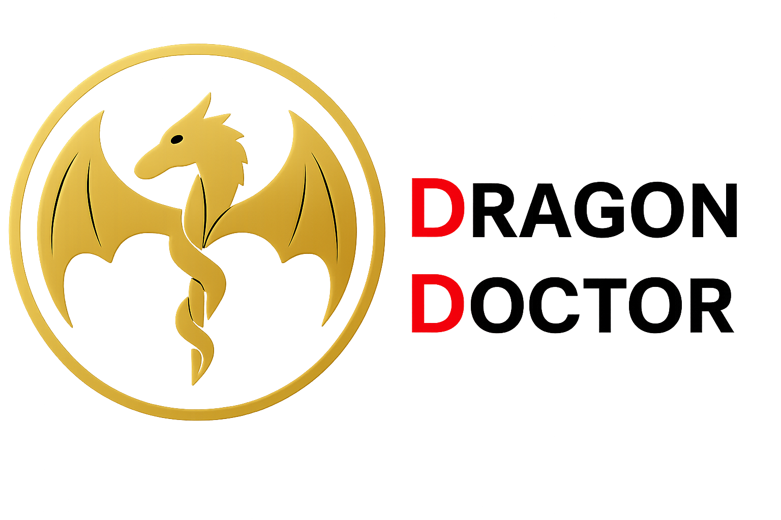 Dragon LMS Logo